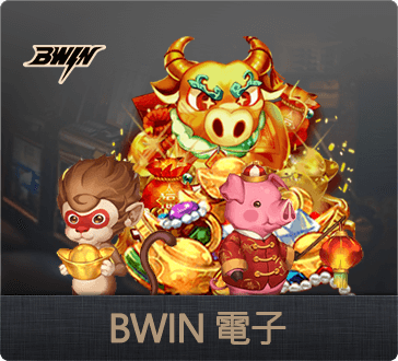 娛樂城BWIN電子遊戲